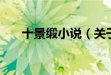 十景緞小說(shuō)（關(guān)于十景緞小說(shuō)的介紹）