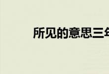 所見(jiàn)的意思三年級(jí)（所見(jiàn)的意思）