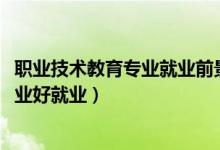職業(yè)技術(shù)教育專業(yè)就業(yè)前景（2022高考職業(yè)技術(shù)學院哪些專業(yè)好就業(yè)）