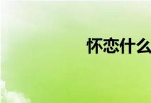 懷戀什么意思（懷戀）