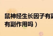 鼠神經(jīng)生長因子有副作用嗎（鼠神經(jīng)生長因子有副作用嗎）