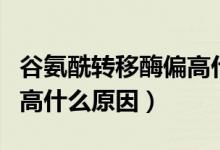 谷氨酰轉(zhuǎn)移酶偏高什么問(wèn)題(谷氨酰轉(zhuǎn)移酶偏高什么原因)
