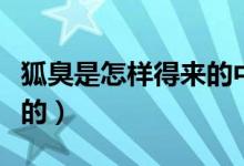 狐臭是怎樣得來的中醫(yī)分析（狐臭是怎樣得來的）