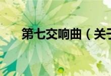 第七交響曲（關(guān)于第七交響曲的介紹）