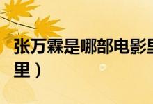 張萬霖是哪部電影里的（張萬霖是哪部電視劇里）