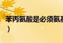 苯丙氨酸是必須氨基酸嗎（苯丙氨酸是什么藥）