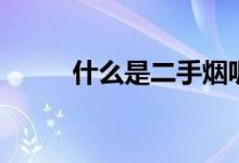 什么是二手煙呢（什么是二手煙）