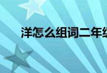 洋怎么組詞二年級(jí)上冊(cè)（洋怎么組詞）