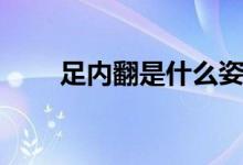 足內(nèi)翻是什么姿勢（足內(nèi)翻是什么）