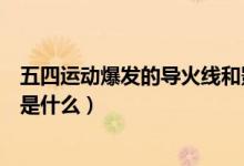 五四運(yùn)動(dòng)爆發(fā)的導(dǎo)火線和影響（導(dǎo)致五四運(yùn)動(dòng)爆發(fā)的導(dǎo)火線是什么）