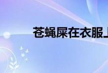 蒼蠅屎在衣服上怎么洗（蒼蠅屎）
