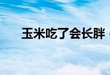 玉米吃了會長胖（玉米吃了會長胖嗎）
