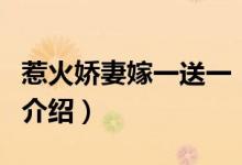 惹火嬌妻嫁一送一（關(guān)于惹火嬌妻嫁一送一的介紹）