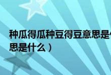 種瓜得瓜種豆得豆意思是什么一年級(jí)（種瓜得瓜種豆得豆意思是什么）
