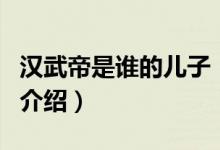 漢武帝是誰(shuí)的兒子（關(guān)于漢武帝是誰(shuí)的兒子的介紹）
