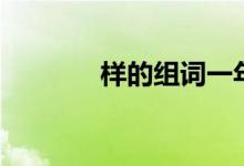 樣的組詞一年級（樣的組詞）