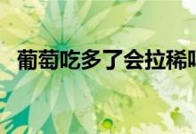葡萄吃多了會拉稀嗎（葡萄吃多了上火嗎）
