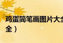 雞蛋簡筆畫圖片大全可愛（雞蛋簡筆畫圖片大全）