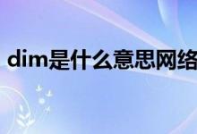dim是什么意思網(wǎng)絡(luò)用語(yǔ)（dim是什么意思）