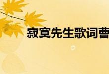 寂寞先生歌詞曹格（寂寞先生歌詞）