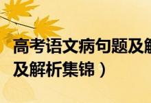高考語(yǔ)文病句題及解析集錦（高考語(yǔ)文病句題及解析集錦）