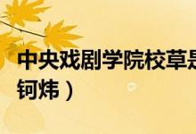 中央戲劇學(xué)院校草是誰（中央戲劇學(xué)院校草單鈳煒）