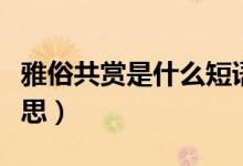 雅俗共賞是什么短語(yǔ)類型（雅俗共賞是什么意思）