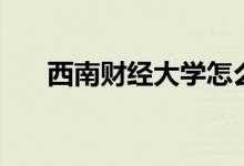 西南財(cái)經(jīng)大學(xué)怎么樣（全國(guó)排名多少）