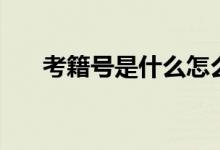 考籍號是什么怎么查（考籍號是什么）