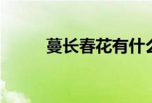 蔓長(zhǎng)春花有什么特征（蔓長(zhǎng)春花）