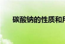 碳酸鈉的性質(zhì)和用途（碳酸鈉的性質(zhì)）