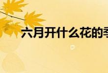 六月開什么花的季節(jié)（六月開什么花）