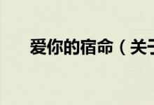 愛你的宿命（關(guān)于愛你的宿命的介紹）