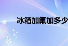 冰箱加氟加多少為合適（冰箱加氟）