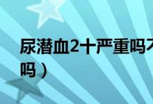 尿潛血2十嚴(yán)重嗎不治行嗎（尿潛血2十嚴(yán)重嗎）