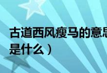 古道西風(fēng)瘦馬的意思是（古道西風(fēng)瘦馬的意思是什么）