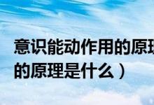 意識(shí)能動(dòng)作用的原理和方法論（意識(shí)能動(dòng)作用的原理是什么）