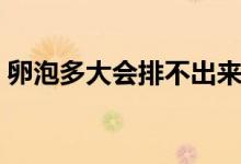 卵泡多大會(huì)排不出來（卵泡多大會(huì)排出卵子）