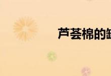 蘆薈棉的缺點(diǎn)（蘆薈棉）
