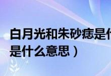 白月光和朱砂痣是什么電影（白月光和朱砂痣是什么意思）