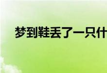 夢(mèng)到鞋丟了一只什么意思(夢(mèng)到鞋丟了)