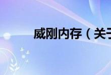 威剛內(nèi)存（關(guān)于威剛內(nèi)存的介紹）