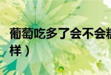 葡萄吃多了會不會糖尿?。ㄆ咸殉远嗔藭趺礃樱?class=