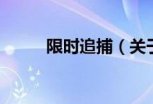限時(shí)追捕（關(guān)于限時(shí)追捕的介紹）
