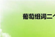葡萄組詞二個字（葡萄組詞）