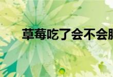 草莓吃了會不會胖（草莓吃了會胖嗎）