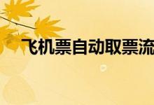 飛機(jī)票自動(dòng)取票流程（飛機(jī)票自制圖片）