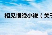 相見(jiàn)恨晚小說(shuō)（關(guān)于相見(jiàn)恨晚小說(shuō)的介紹）