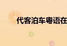 代客泊車粵語(yǔ)在線觀看（代客泊車）