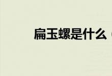 扁玉螺是什么（扁玉螺是什么屬）
